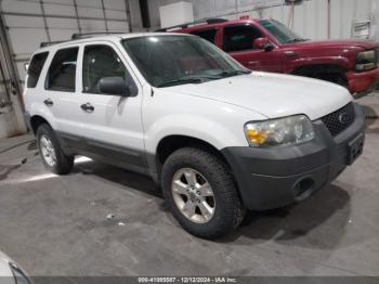  Salvage Ford Escape