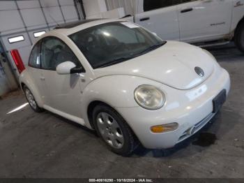  Salvage Volkswagen Beetle