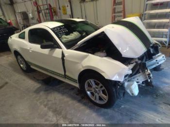  Salvage Ford Mustang