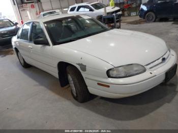  Salvage Chevrolet Lumina