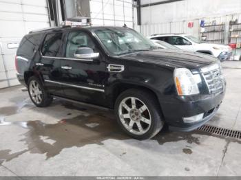 Salvage Cadillac Escalade