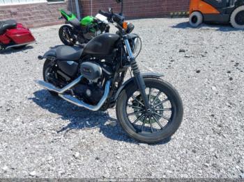  Salvage Harley-Davidson Xl883