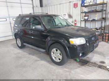  Salvage Ford Escape