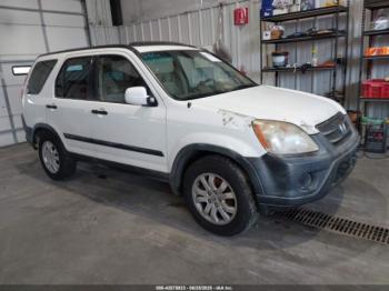  Salvage Honda CR-V