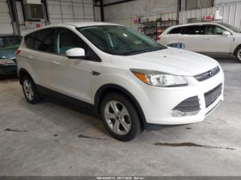  Salvage Ford Escape