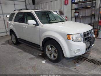  Salvage Ford Escape