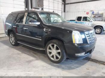  Salvage Cadillac Escalade