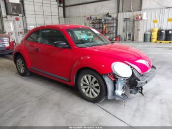  Salvage Volkswagen Beetle