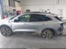 Ford Escape Sel Image 13