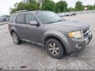 Ford Escape Limited Image 1