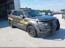 Ford Utility Police Intercepto Image 1