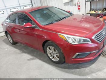  Salvage Hyundai SONATA