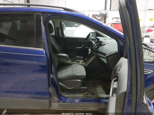 Ford Escape Se Image 11
