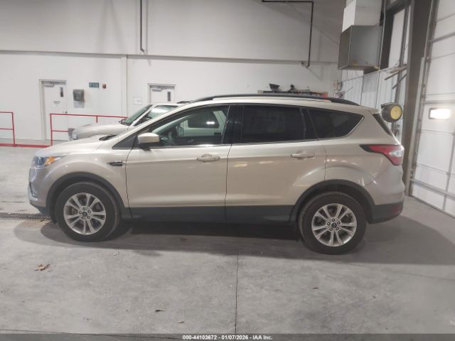 Ford Escape Se Image 5