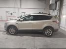 Ford Escape Se Image 5