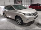 Lexus RX Image 1