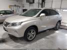 Lexus RX Image 3